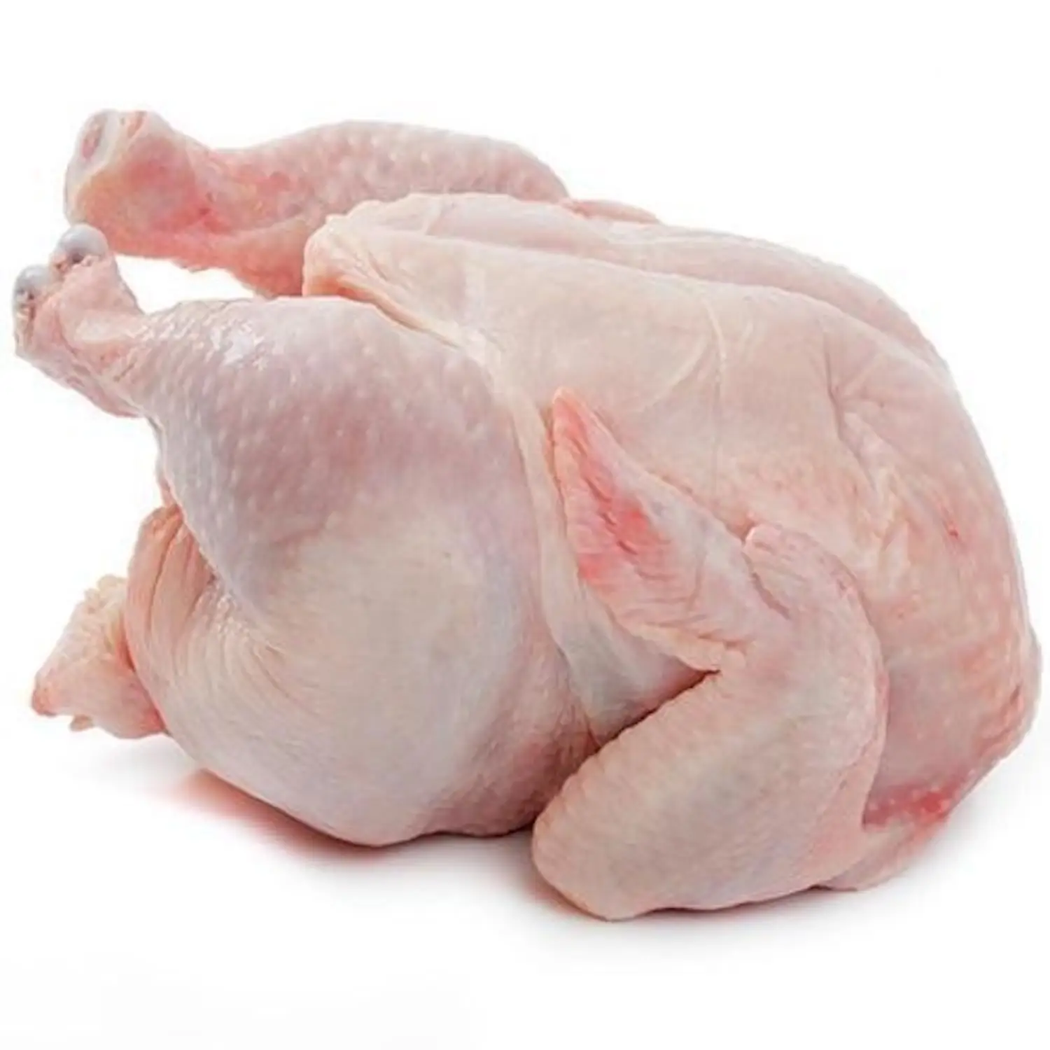 高品質のハラール冷凍鶏肉
