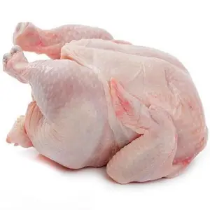 Chất lượng Halal đông lạnh toàn bộ gà để bán