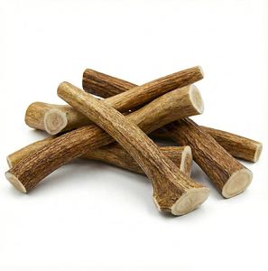 Cuernos de ciervo rojo natural a la venta a precio de mayorista, de origen ético y alta calidad. - Product Image 2