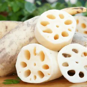 Wholesale Natural white dried lotus root powder made in Vietnam for vegetarian food Holiday