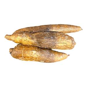 Cassava fraîche biologique de haute qualité en provenance des États-Unis, paquet de 10 kg avec une durée de conservation de 24 jours, vente directe d'usine - Product Image 3