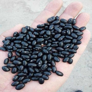 Hot Sale Black <b>Kidney</b> <b>Beans</b> 25kg 50kg - Buy Speckled <b>Kidney</b> <b>Beans</b>, Mexican Black <b>Beans</b> - Product Image 1