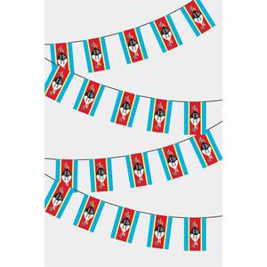Swaziland Rectangle Party <b>Banners</b> Flag Garland - Product Image 1