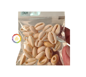 เปลือกหอยวัวธรรมชาติขัดเงาในราคาที่สมเหตุสมผลสำหรับการส่งออกจากเวียดนาม - Product Image 1