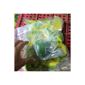 Fruits tropicaux verts d'avocat congelés en gros de haute qualité et à prix attractif du Vietnam - Product Image 1