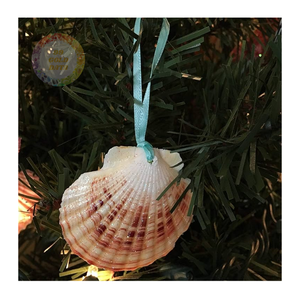 Ornements de Noël en coquillages faits à la main écologiques-parfaits pour un décor de vacances durable et des célébrations sur le thème de la plage - Product Image 4