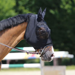 ผ้าคลุมหน้าม้าคุณภาพสูง ปี 2026 ป้องกันแมลงวัน ระบายอากาศได้ดี รับทำโลโก้ส่วนตัว สำหรับผ้าคลุมหน้าม้า โดย Alexandria Industries - Product Image 6