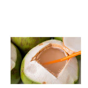Noix de coco fraîche du Vietnam Nature Cooling Delight - Product Image 6