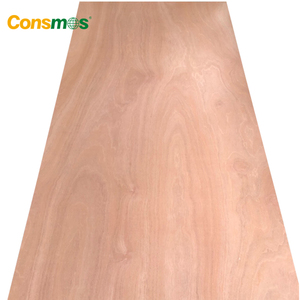 Madera de Okoume, Bintangor, Cedro Lápiz, Pino, <span class=keywords><strong>Abedul</strong></span>, Sapeli, Álamo, 1220*2440 mm, E0, Moderna, Ecológica, 1 Año de Garantía, <span class=keywords><strong>Abedul</strong></span> Comercial - Product Image 6