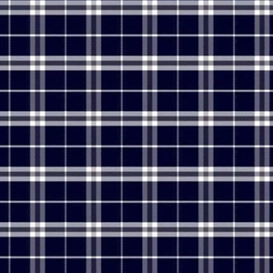 ผ้าป๊อปลินลายตารางคุณภาพส่งออกที่ดีที่สุด ผ้าทอเส้นด้ายย้อมสีระดับพรีเมียมสำหรับเสื้อแฟชั่นและเครื่องแต่งกายในราคาที่เข้าถึงได้ - Product Image 1