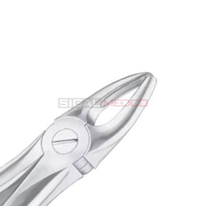 Fig. 2 Laterales superiores y caninos Fórceps de extracción de dientes de diferentes tamaños Instrumentos médicos dentales Mayoristas - Product Image 6