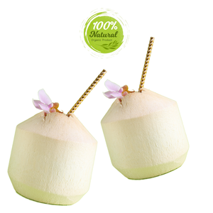 สไตล์ใหม่ของการท่องเที่ยวเชิงชุมชนเน้นด้วยกะลามะพร้าวปอกเปลือกเพชร - Product Image 1