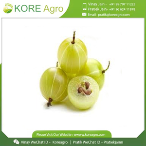 Amla entière d'Amla biologique la plus vendue du fournisseur et fabricant indien - Product Image 5