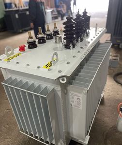 Transformador de Potencia Trifásico de 10kV Sumergido en Aceite para Distribución de Energía Industrial en Redes Eléctricas - Product Image 1