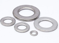 High Precision Din125 Din9021 Metal Flat Washers Stainless Steel A2 A4 304 316 Plain Flat Gasket Washer M4 M6 M8 M16 Flat Bronze