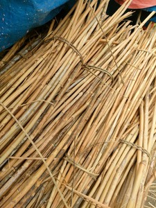 Bastón/poste de ratán de material de ratán de alta calidad de fábrica en Vietnam - Product Image 4