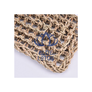 Seagrass fibre Lézard Hamac Vietnam lits pour animaux de compagnie sommeil frotter perte de peau anole reptile Bleu Lotus jouets pour animaux de compagnie 2024 - Product Image 1