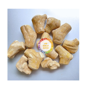 ไม้ก้างปลาสำหรับสุนัขกอริลลาทำจากไม้กาแฟจากเวียดนาม - Product Image 3