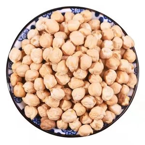 Garbanzos orgánicos de alta proteína, garbanzos orgánicos frescos y naturales a la venta en cantidades a granel - Product Image 1