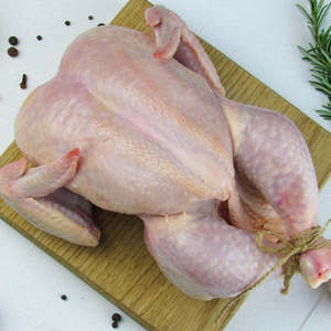 Pollo Congelado de Primera Calidad, Bajo en Grasa, en Bolsas, Disponible Ahora en Stock al por Mayor a un Precio Accesible - Product Image 1