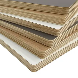 ไม้อัดไม้เนื้ออ่อนสำหรับงานก่อสร้างไม้อัดไม้สนเบิร์ชขั้วโลก - Product Image 3