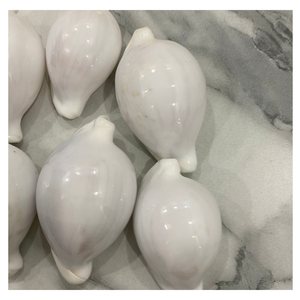 เปลือกไข่วัวทะเลขัดธรรมชาติ, ที่ดีสำหรับเครื่องประดับ DIY, อุปกรณ์งานฝีมือ, ตกแต่งชายหาดและโครงการจัดงานแต่งงาน - Product Image 4