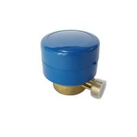 Compteur d'eau intelligent à flux unique résistant aux intempéries DN15 DN20 DN25 avec module LORAWAN basse pression pour usage domestique