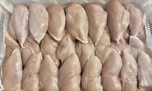 Envase al vacío LQF de pechuga de pollo entero congelado certificado Halal Alemania 35-40kg - Product Image 6