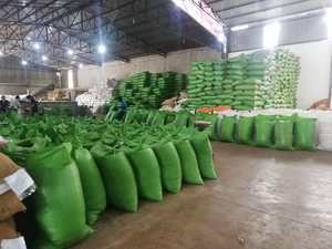 Mejor precio Extracto DE FLOR DE Sophora Japonica seca Rutin de Vietnam Contacto + 84984418844 - Product Image 4