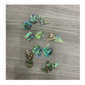 Coquilles d'ormeau pour les décors créatifs de restaurant Coquilles d'ormeau parfaites pour les thèmes des fruits de mer - Product Image 2