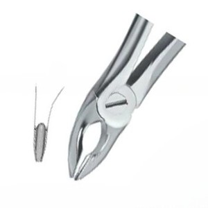 Forceps d'extraction dentaire Fig35, manuel, en acier inoxydable de haute qualité, certifié CE, instruments dentaires, vente chaude, logo personnalisé - Product Image 5