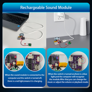 Programable Recargable 4M Memoria Altavoz de música de 4 minutos y módulo de sonido para tarjeta de felicitación - Product Image 6