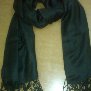 Elegant Black Luxury Pashmina Shawl & Wraps Winter Traditional Scarves for Adults - Product Image 1