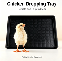 Prix Usine Nouveau MUYIDA Plateau de fumier en plastique durable pour cage à poulets, facile à nettoyer, blanc/noir, pour équipement d'élevage avicole