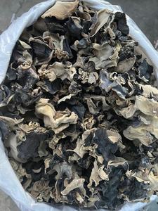 Hongos de oreja de madera de hongo negro seco de primera calidad Hongos de oreja naturales de alta calidad para cocina asiática y sopas - Product Image 3