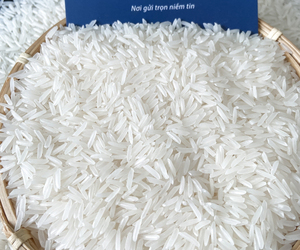 5% ข้าว ST25คุณภาพสูงจากเวียดนามชนะรางวัลข้าวที่ดีที่สุดในโลกในการประกวดทางเทคนิคของโลก - Product Image 6