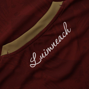 Uniformes de Fútbol Gaélico Personalizados por Sublimación, Camisetas GAA al por Mayor - Product Image 4