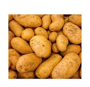 มันฝรั่งสดออร์แกนิกสำหรับ100% - Product Image 4