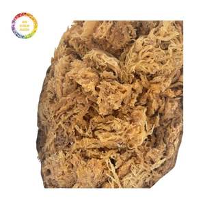 มอสไอริชแห้งจำนวนมาก พร้อมการอบแห้งที่สม่ำเสมอและการควบคุมคุณภาพที่มั่นคง - Product Image 3