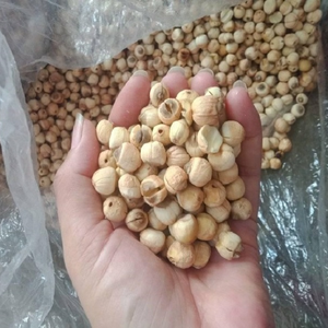 Meilleure vente de graines de lotus séchées du Vietnam-exportation d'approvisionnement en vrac de haute qualité - Product Image 5