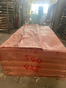 Tablero de Madera Contrachapada de Bintangor de Primera Calidad, Suministro de Fábrica de Vietnam - Product Image 3