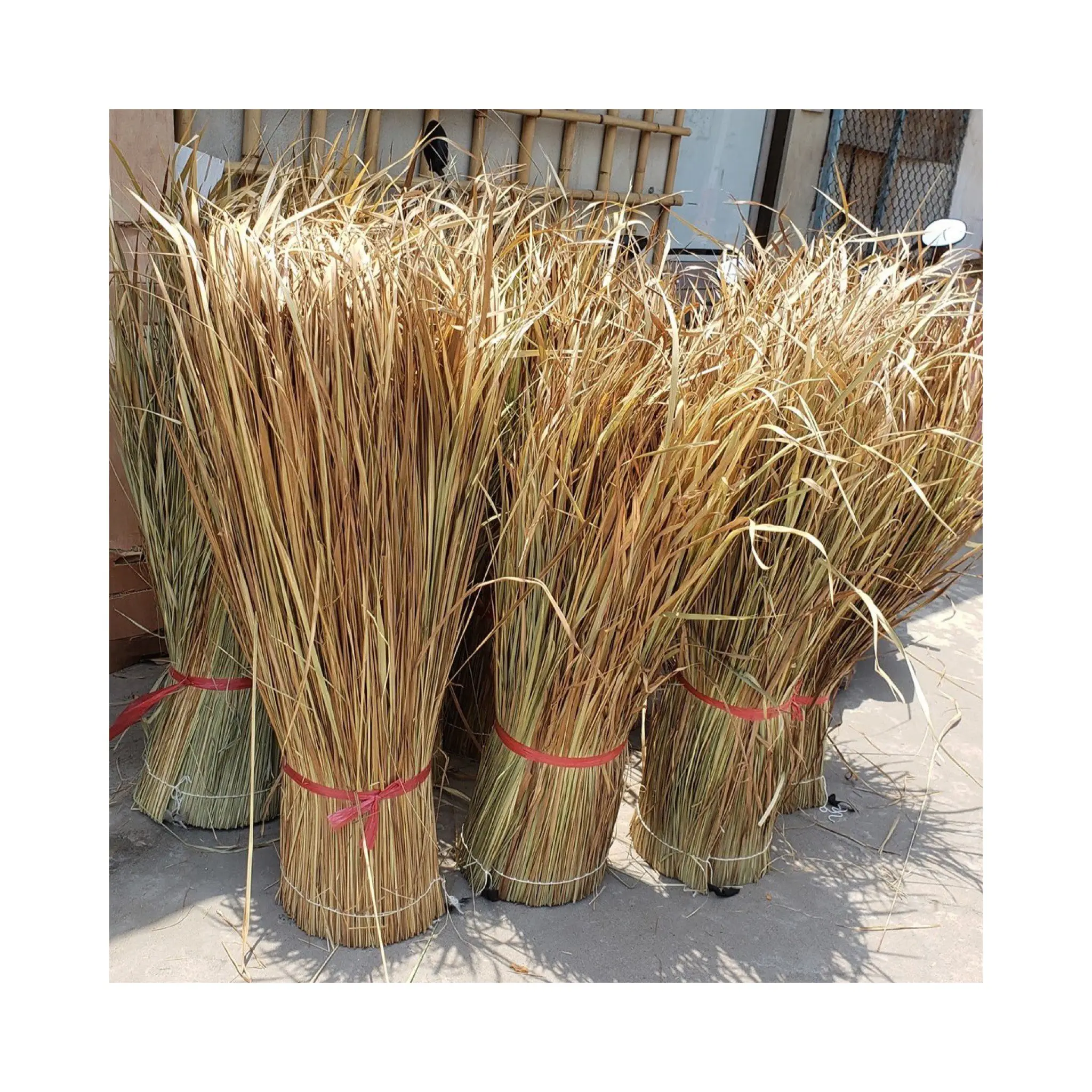 Yapı malzemesi-ticari ve konut 99 altın veri Vietnam için doğal çim saz çatı