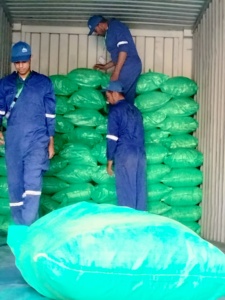 Suministro Profesional de Granulado de Mejorana Seca de Grado Premium, Procesada con Método AD, Picante, 100% Natural, Color Natural, Certificación ISO22000, Egipto - Product Image 5