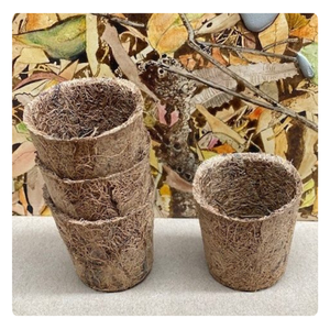 Planteurs de noix de coco durables-Biodégradable et respectueux de l'environnement-Meilleur choix 2024 - Product Image 5