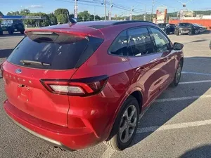 Limpio e impecable - Product Image 3