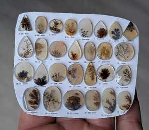 Agate Scénique Rare, Pierre Précieuse Unique, Motifs Paysagers Naturels, Qualité AA+, Effet Argent Sterling, Parfait pour la Fabrication de Bijoux - Product Image 2