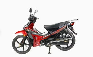Jianshe มอเตอร์ไซค์ไฟฟ้า Js110-2เดอร์โบ125cc 110cc ไฟฟ้าวิบาก - Product Image 2