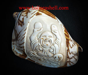 Cymbiola sculpture bouddha ornement style coquillage bijoux sculpture bouddha ornement en style religieux coquille matériel - Product Image 6