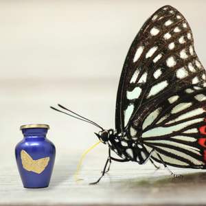 Urnas pequeñas para cenizas humanas, urna para cenizas humanas mujer adulta, funeral de mamá y papá para pequeños recuerdos, viene con estuche negro - Product Image 6