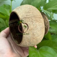 FOURNISSEUR DU VIETNAM TASSE DE COQUILLE DE NOIX DE COCO NATURELLE FAIT MAIN DE HAUTE QUALITÉ TASSE DE NOIX DE COCO POUR SMOOTHIE CAFÉ CRÈME GLACÉE AU MEILLEUR PRIX